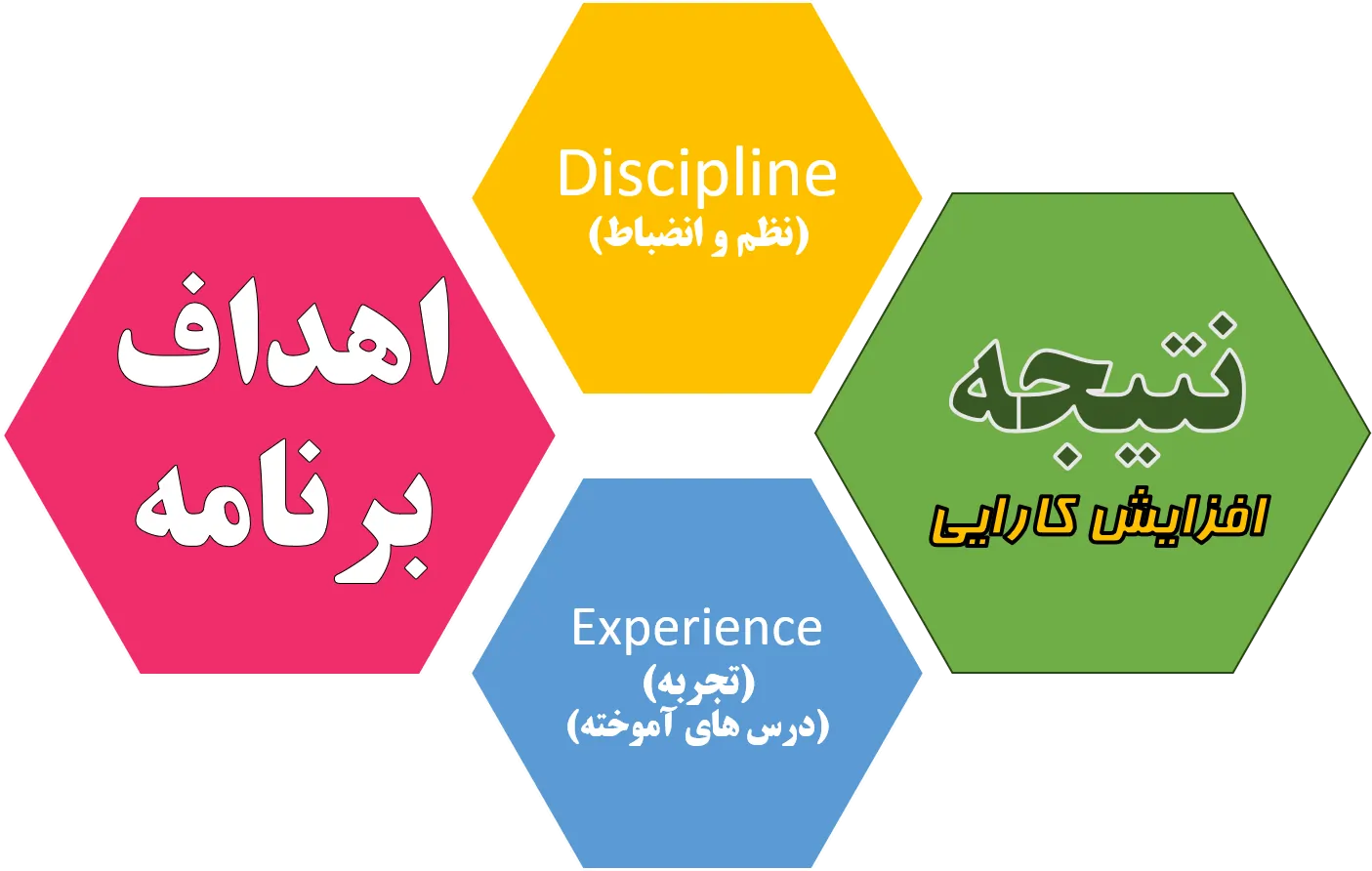 اهداف برنامه همکار پروژه - نظم و انظباط discipline